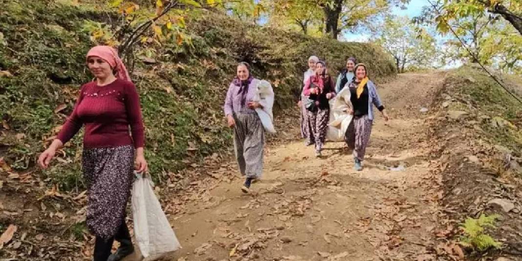 Ağaçtan düşürülüyor, kadınlar tarafından toplanıyor! Zorlu araziden köye yolculuk: Kuyuda 15 gün bekletilip satılıyor 3